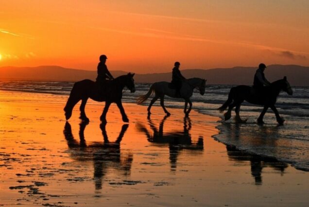 sunset horse riding
