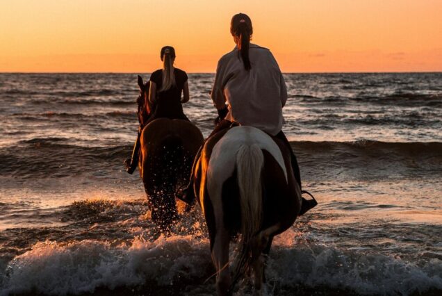 sunset horse riding
