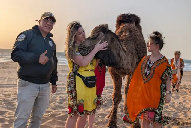 Agadir Quad Bike & Camel Ride on the Beach – Desert Adventure Tour